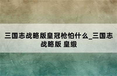 三国志战略版皇冠枪怕什么_三国志战略版 皇缎